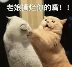 别伤心你看我的肥脸朋友圈表情包同志醒醒你还要加班的表情包下载乐游网游戏下载
