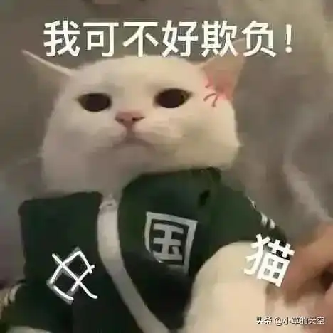 因为一个人,封了一座城
