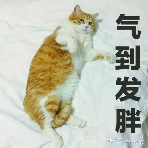 当下中国有哪些审美畸形的现象
