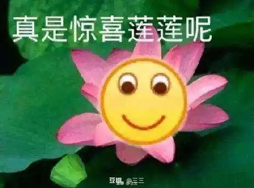 说一说我在家里蹲了四五年的原因吧
