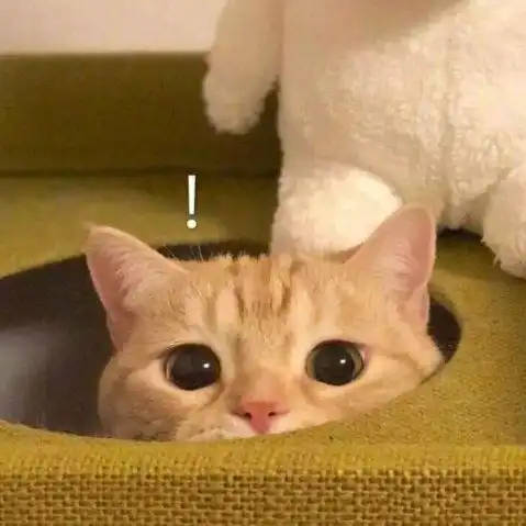 mikko的微博微博
