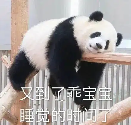 超可爱的熊猫表情包
