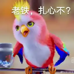 赵丽颖送谢娜的苍梧鸟多少钱楚乔传苍梧鸟是什么鸟
