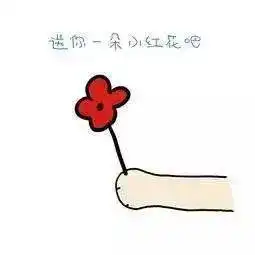 鑫帝橙心橙意,送你一朵健康小红花
