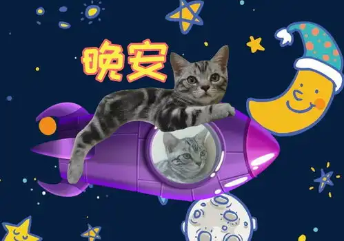 一大波喵星人表情包已经袭来超可爱小猫咪萌化你的心
