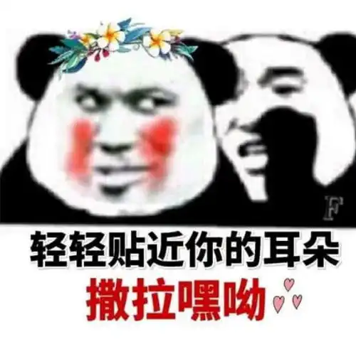 熊猫头表情包美丽让人孤独
