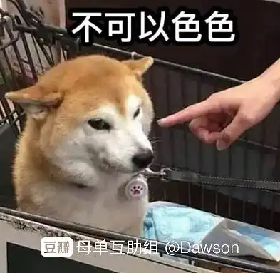 有共同话题和目标的友友,只是别人现在有男友了呜呜呜
