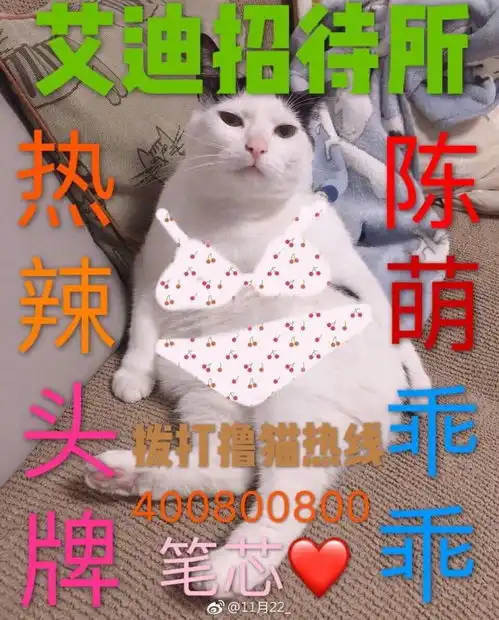 有哪些堪称有毒的表情包
