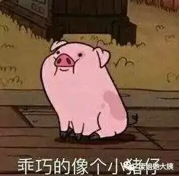 微博之夜笑点全集

