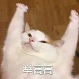 ,收藏夹
