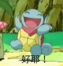 前方大量表情包出没杰尼龟咋就变成憨批代言人了
