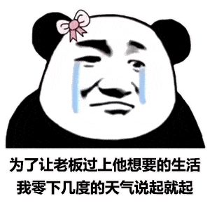 近期热门表情包精选
