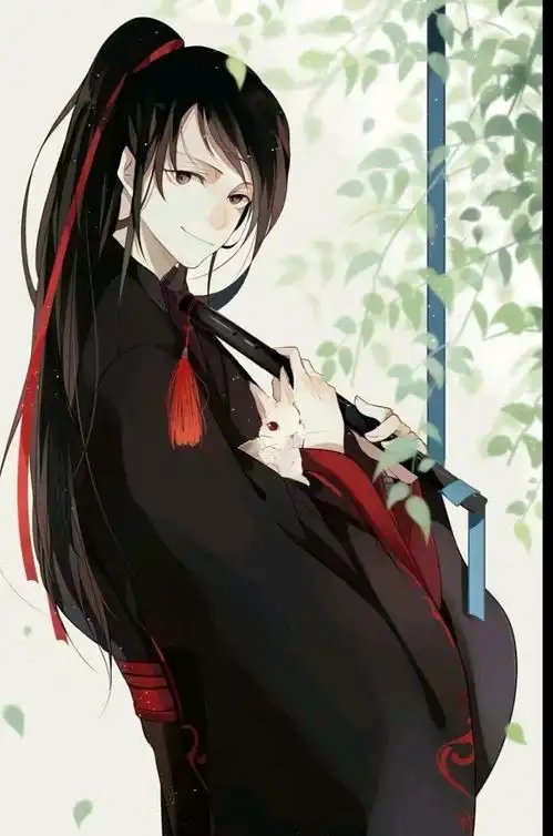 魔道祖师羡羡汪叽
