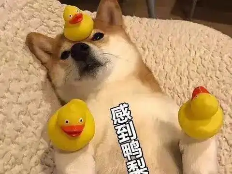 四六级若是延期,会有哪些影响呢
