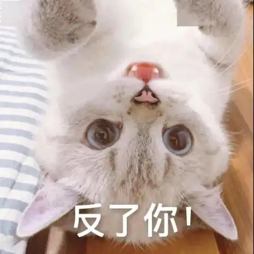 表情包个性斗图表情包
