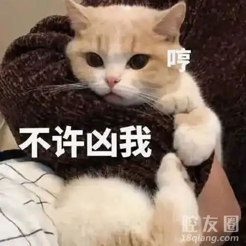 义乌人嫁娶是彩礼随意只要子女感情好彩礼无所谓
