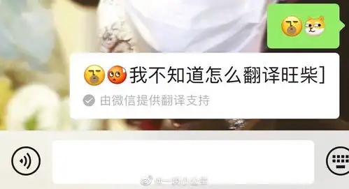 用微信表情翻译表白,程序员的小浪漫,赶紧get起来
