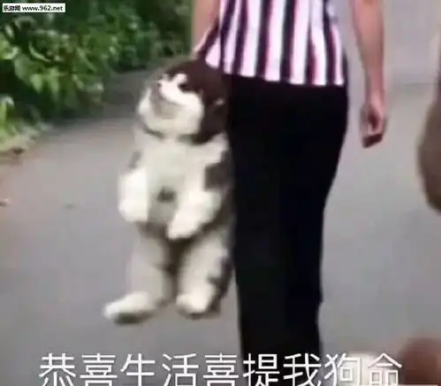 大学消费攻略丨从月光族退群吧
