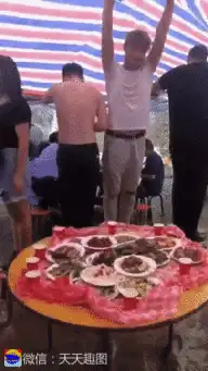爆笑gif图兔子急了不仅咬人,还会打人
