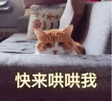 仙女们撒娇专用表情包
