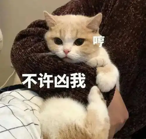 吃鸡可千万别翻译成eatchicken噢会被笑skr

