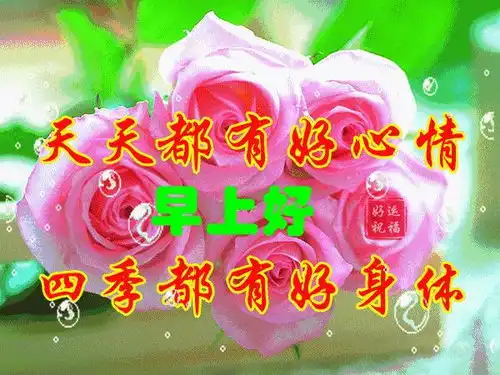 周二最新群发早上好问候表情动画图片,早安问候祝福语动态图片带字

