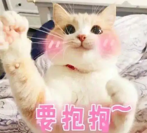 委屈巴巴的猫咪,要抱抱吗
