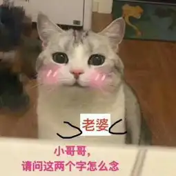 小老虎照片小老虎相册大全yy官方
