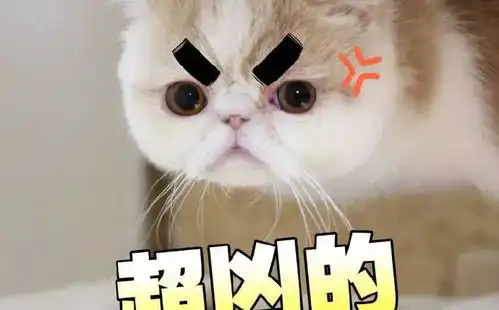 降温阵雨阵风三连湿冷魔法攻击来袭明天,冷
