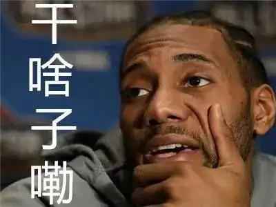 祸从口出啊梅耶斯伦纳德被nba放弃了29岁就失业了
