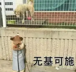 这是一组基情十足的狗狗表情包
