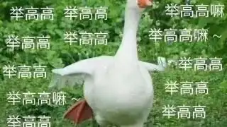 谢谢你,一直在我身边
