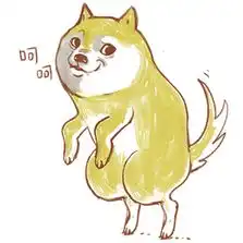 狗的表情包
