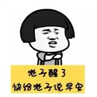 p图表情包
