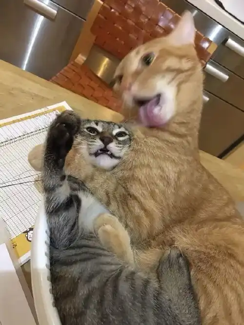 轻松一刻
