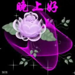 晚上好表情包晚上好微信表情
