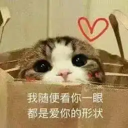 小布说天气微微凉,微微雨,好不惬意
