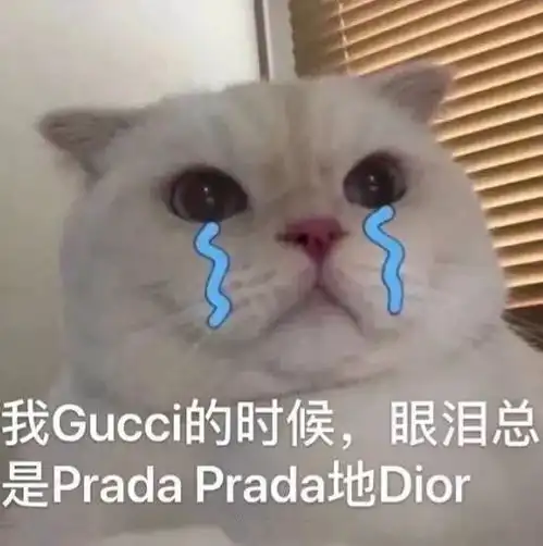 表达委屈的系列表情包
