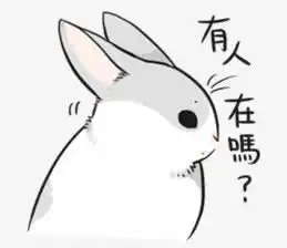 有人在吗灰兔子表情小素材
