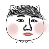 无双猫猥琐表情图大全微信头像图片大全
