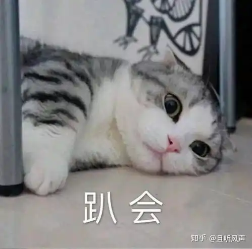 高考后的假期怎么安排
