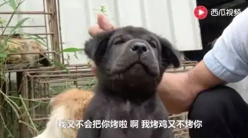 我看你好像中暑了,不如
