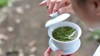 茶道饮茶十大恶习,简直无话可说
