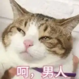 今天再来谈谈曹云金是曹金
