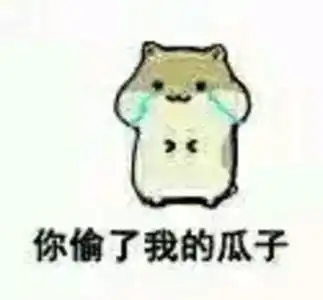 哔哩哔哩专栏

