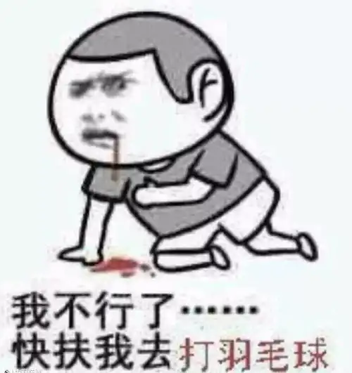 羽球迷专属表情包,再也不怕跟球友斗图了
