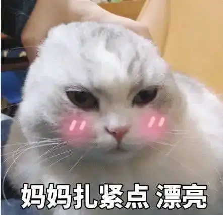 我秃了,也变强了脱发青年自救指南
