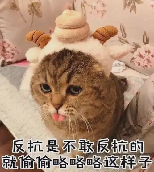 洛南通你被隔离过吗被隔离你会交房费和伙食费吗
