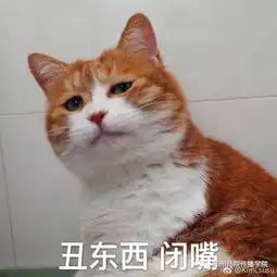 说一说喵星界的表情帝大亨们
