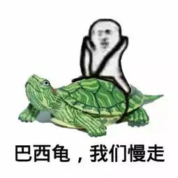 爆红的皮皮虾,我们走到底是什么鬼
